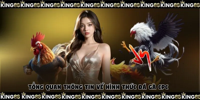 Tổng quan thông tin về hình thức đá gà CPC