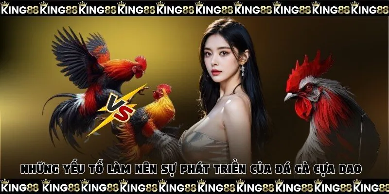 Những yếu tố làm nên sự phát triển của đá gà cựa dao