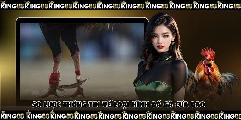 Sơ lược thông tin về hình thức đá gà cựa dao siêu hot