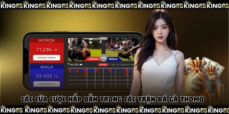 Các cửa cược hấp dẫn trong các trận đá gà Thomo