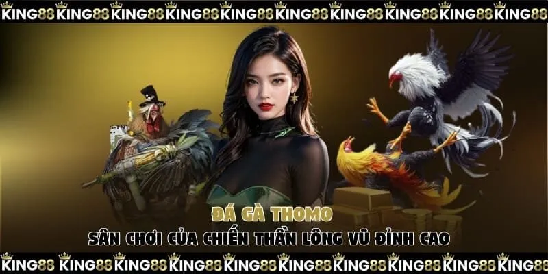 đá gà Thomo