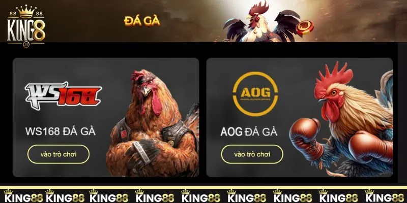 sảnh đá gà king88 cuồng nhiệt